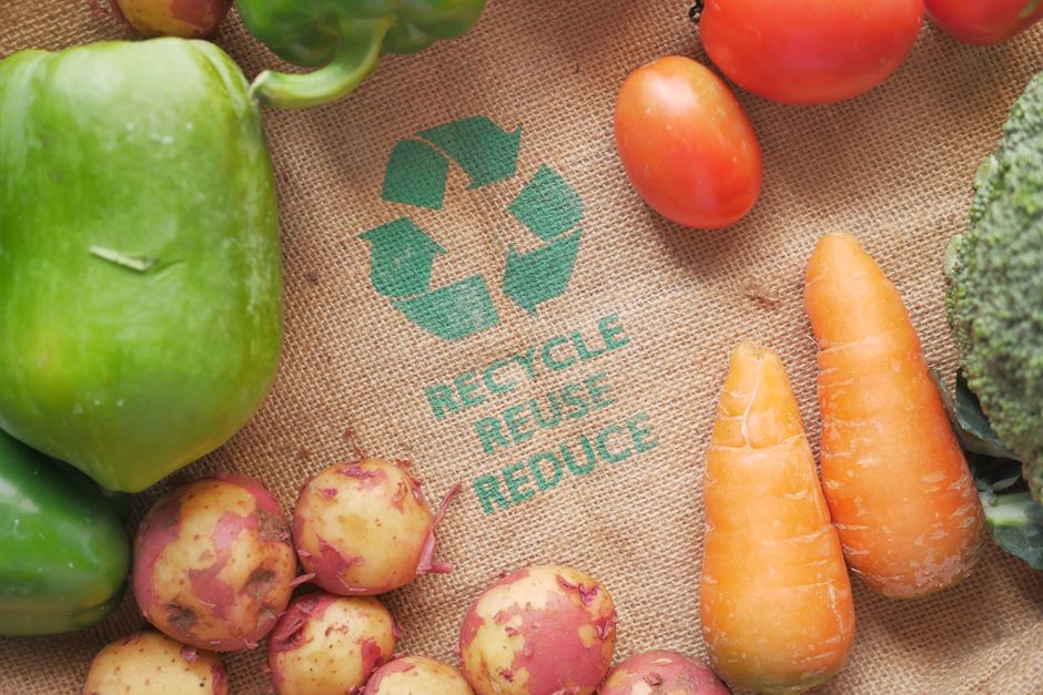How to Reduce Food Waste: A Step-by-Step Guide