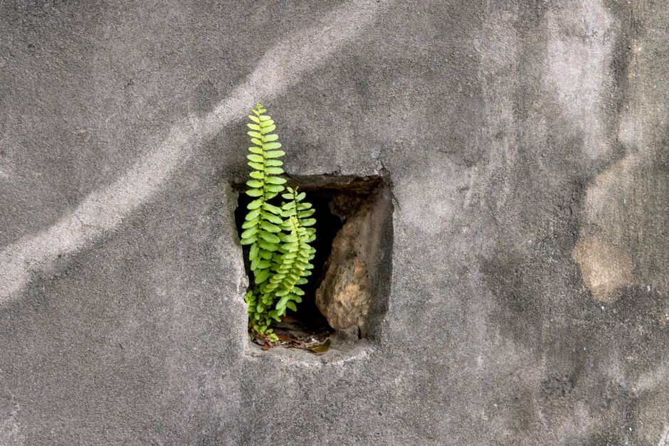 How to Fix Small Concrete Cracks and Holes with Basic Tools