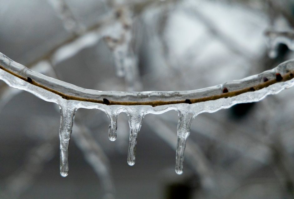 Why Freezer Burn Strikes Some Foods and Not Others: Water Activity, Ice, and the Air in Your Freezer