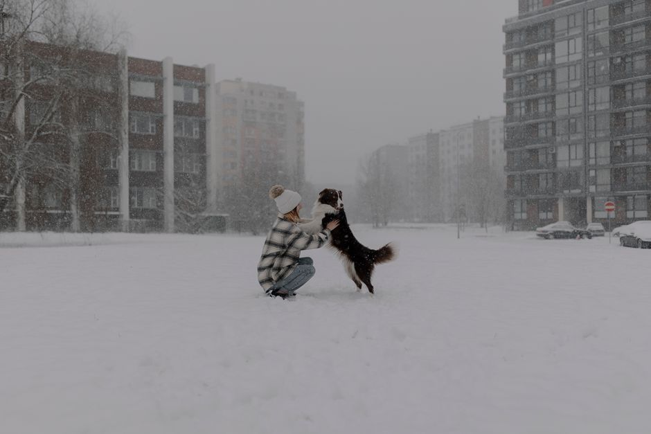 Winter Care for Pets in Small Apartments: A Complete Guide