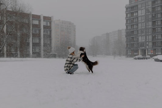 Winter Care for Pets in Small Apartments: A Complete Guide