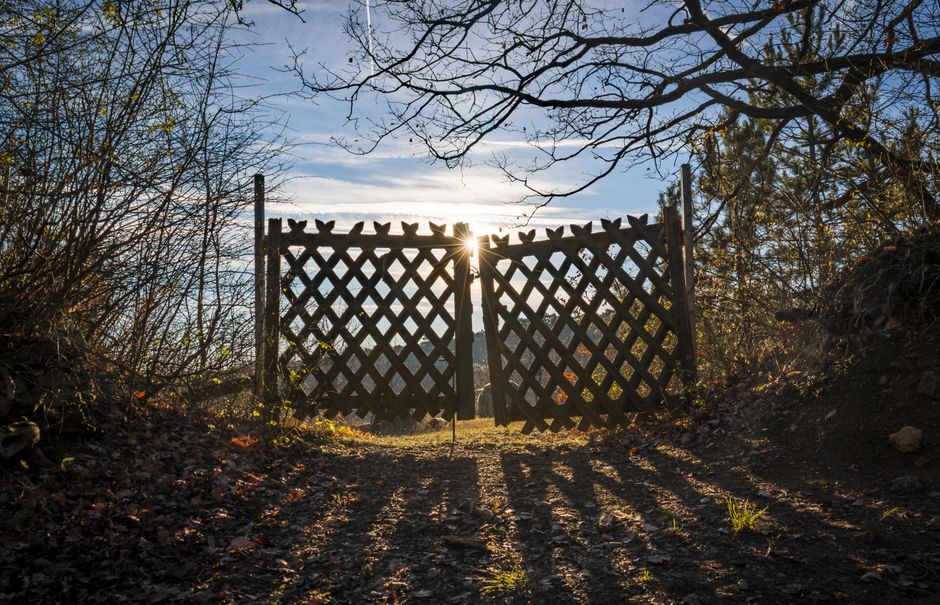 How to Fix a Sagging Gate in Under an Hour: A Practical Guide