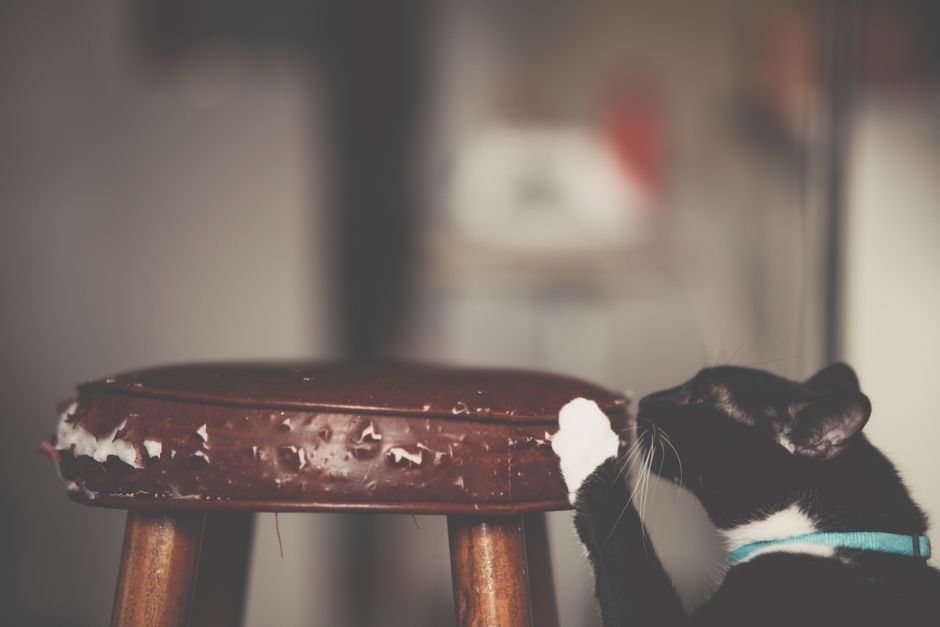 Fixing a Furniture Scratch or Dent in Under an Hour: What Actually Works