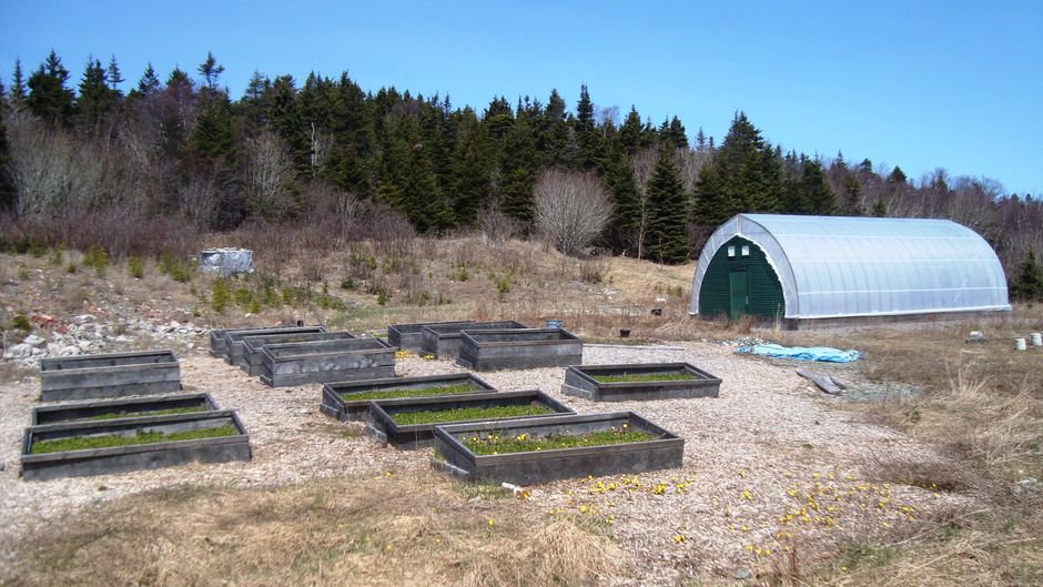 How to Build a Raised Garden Bed Without Back Pain or Structural Failure