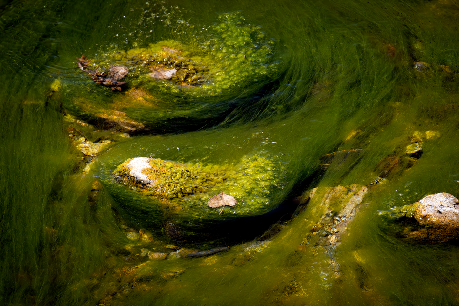 What Biofilm Is Made Of and Why It Resists Ordinary Cleaning