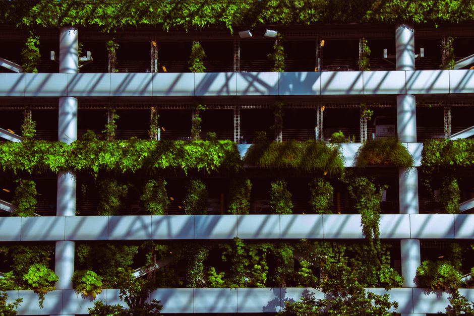 How to Grow a Vertical Vegetable Garden on a Small Balcony: A Complete Step-by-Step Guide