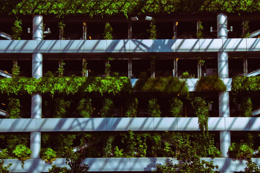 How to Grow a Vertical Vegetable Garden on a Small Balcony: A Complete Step-by-Step Guide