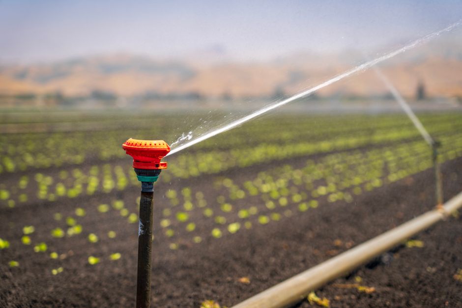 Drip Irrigation Troubleshooting: Why Your System Isn't Watering Evenly and How to Fix It