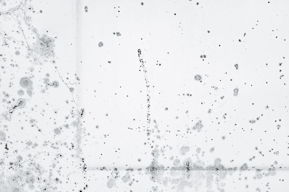 Why Mold Keeps Returning on Some Surfaces but Not Others