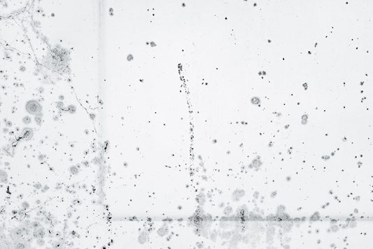 Why Mold Keeps Returning on Some Surfaces but Not Others