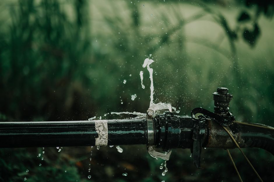 The Beginners Guide to Building a Smart Watering System That Actually Works