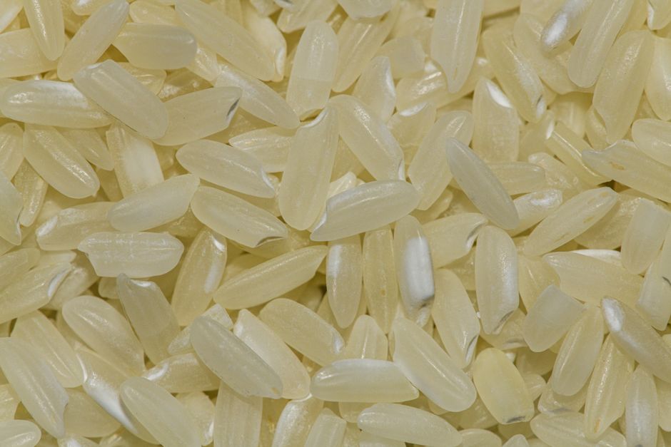 Why Cooked Rice and Grains Firm Up in the Refrigerator — and How to Meal Prep Around It