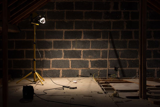 Renter-Friendly Attic and Crawl Space Repairs