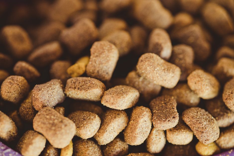 Raw and Natural Pet Diet for Beginners: A Complete Guide to Transitioning Safely