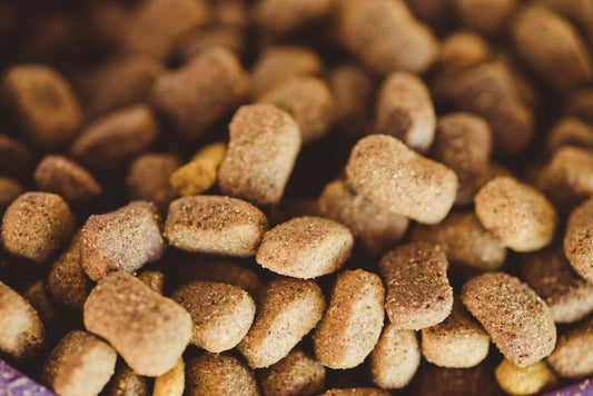 Raw and Natural Pet Diet for Beginners: A Complete Guide to Transitioning Safely