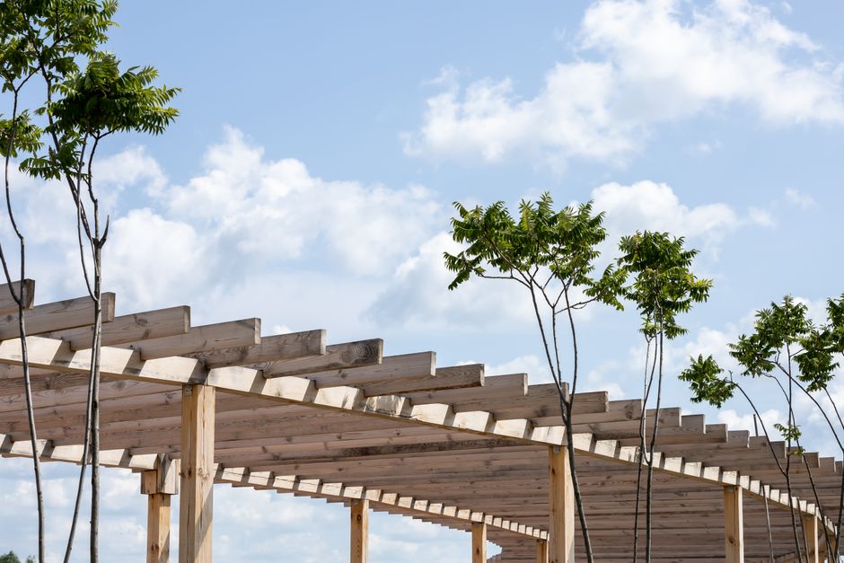 Why Your Pergola Patch Fails: Matching Repair Material to Weathered Outdoor Wood