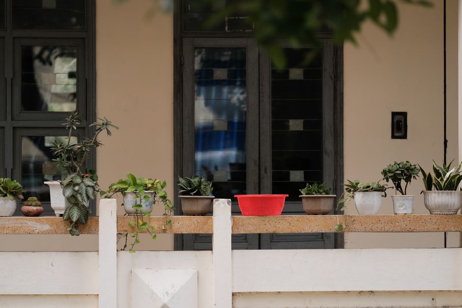 Drip Irrigation Without a Yard: Watering Balcony and Patio Containers