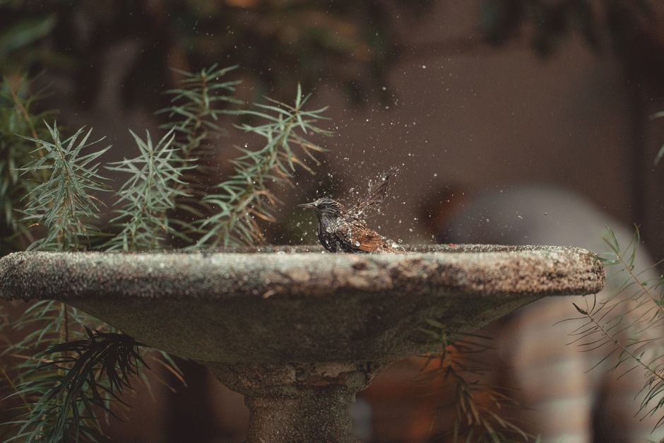 The Science of Water Conservation: Why Small Habits Matter More Than Expensive Gadgets