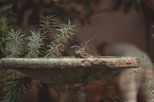 The Science of Water Conservation: Why Small Habits Matter More Than Expensive Gadgets