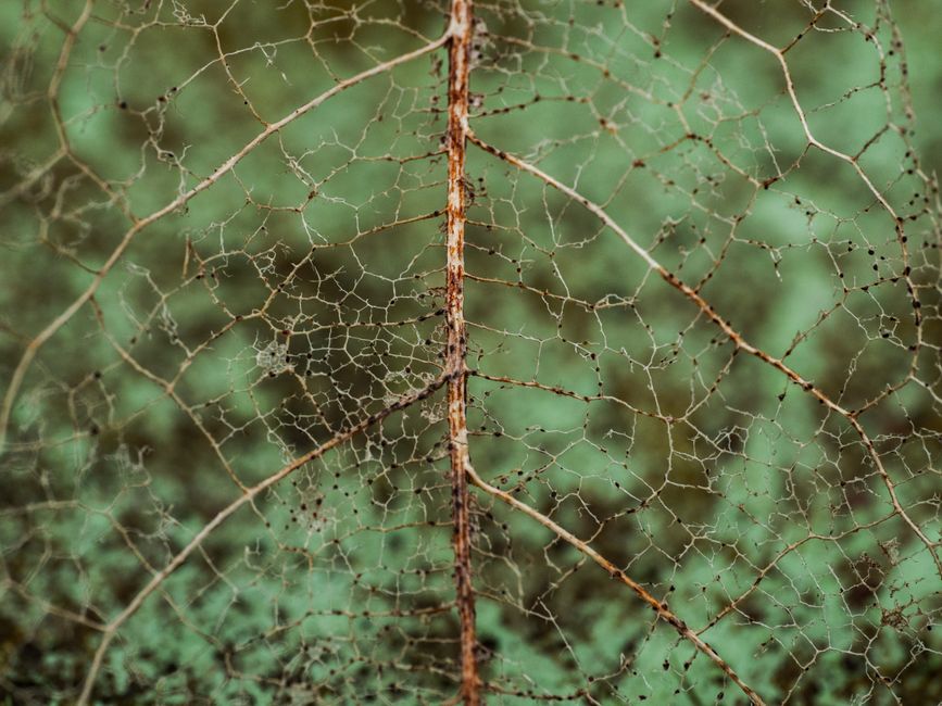 Bioplastics and the Life-Cycle Question That Actually Matters