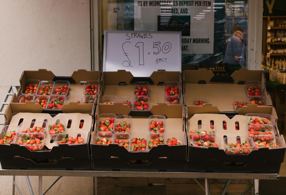 How to Store Berries So They Last 2 Weeks Without Mold: A Complete Guide to Freshness