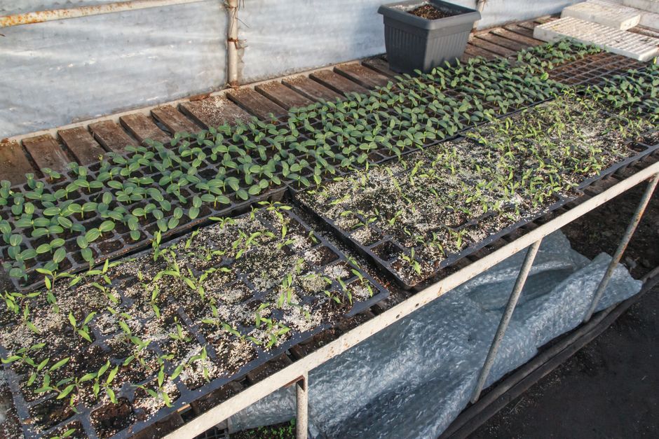Soil Preparation Techniques That Actually Work