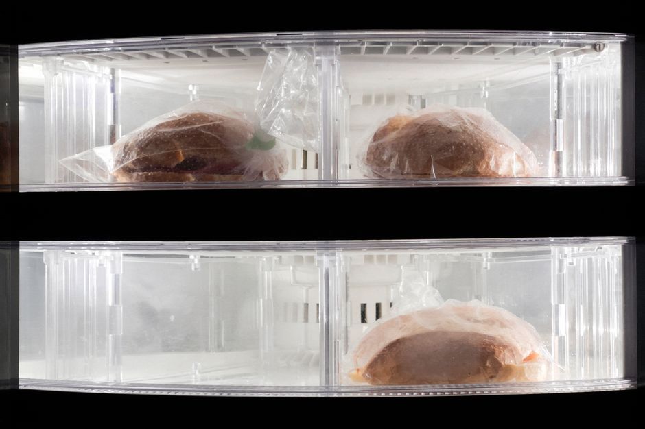 How to Organize Your Freezer on a Budget Without Buying a Single Expensive System
