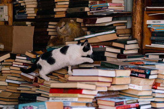 One Signal Is Never the Whole Story: Reading Food-Guided Behavior in Dogs, Cats, and Small Mammals