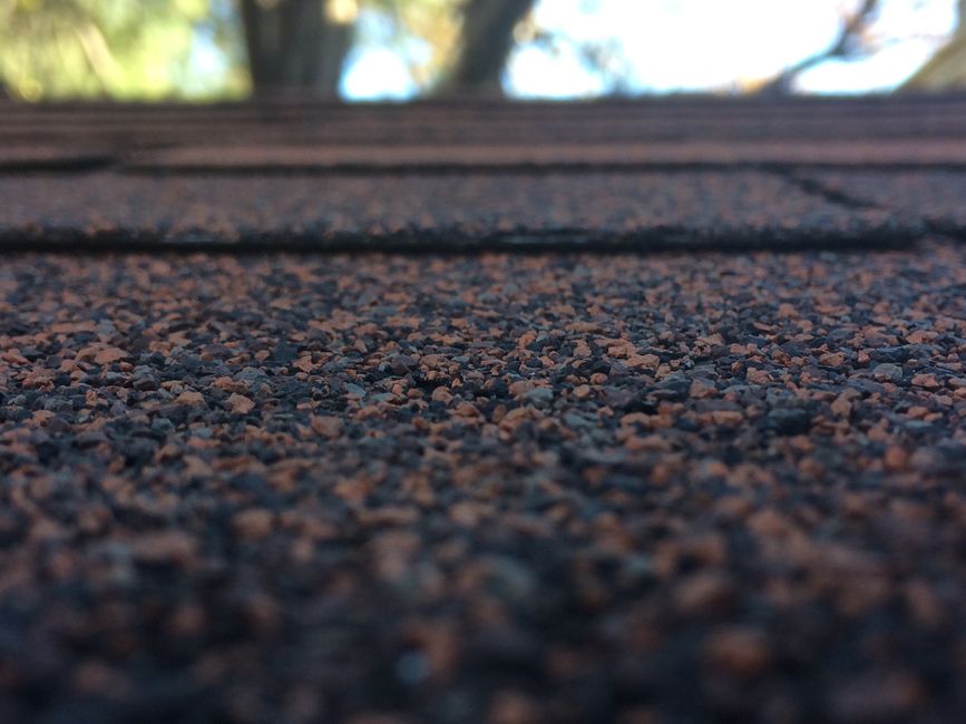 What a Renter Can Actually Do About a Missing or Curling Roof Shingle