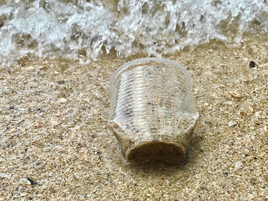What 'Biodegradable' Actually Promises—and What It Doesn't