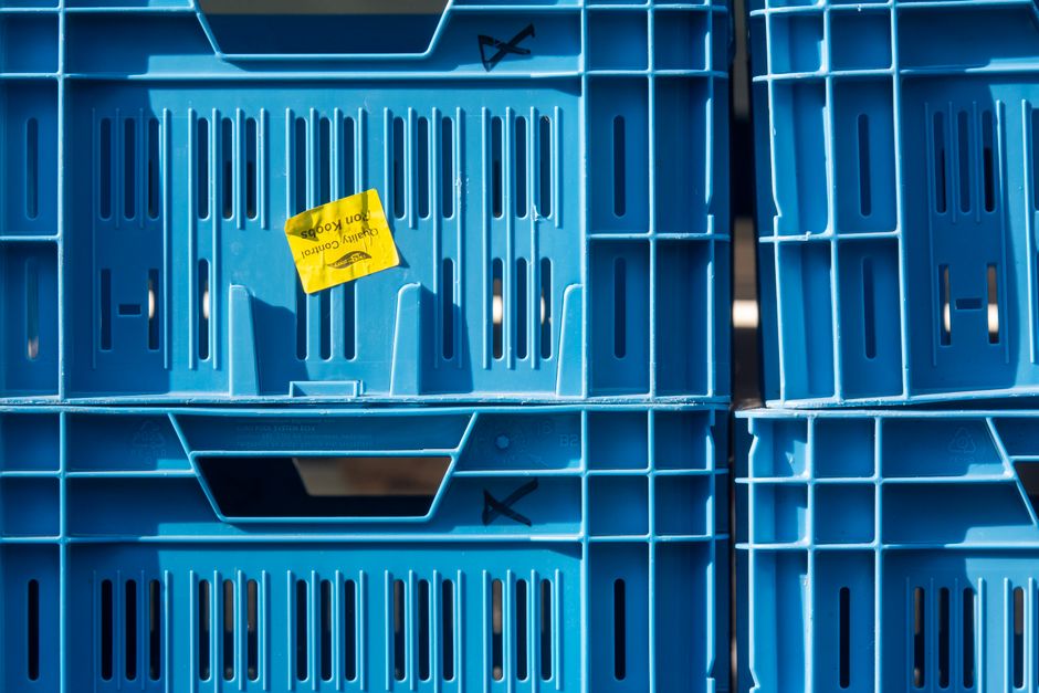 When Labels Actually Help: Folding Storage, Category Boundaries, and the Mixed-Bin Problem
