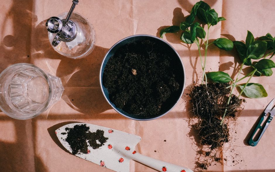 Container Garden Watering Systems: Matching Your Setup to Actual Plant Needs