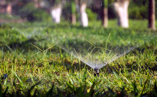 Drip Irrigation Without a Yard: Watering Containers and Balcony Gardens the Smart Way