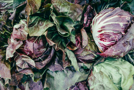 Why Your Lettuce Is Bitter and Bolting: A Complete Care Guide