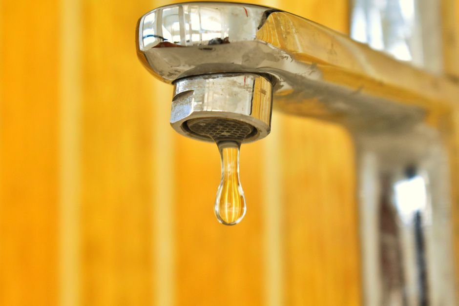 The Weekend Leak Detective: A Practical Guide to Diagnosing and Fixing Common Household Drips
