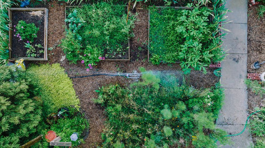 Low-Maintenance Vegetable Gardens: Smart Systems That Save Time and Effort