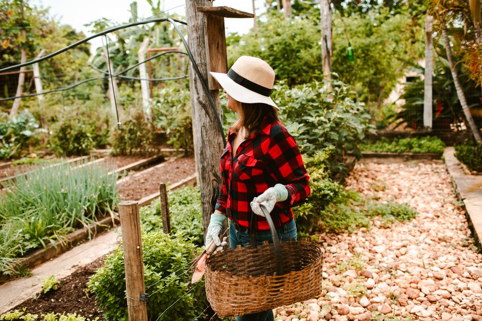 Complete Care Guide to Designing a Self-Sustaining Garden Bed