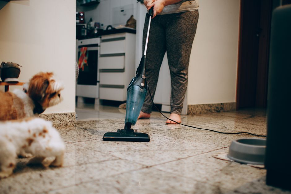 How to Reduce Your Dog's Shedding Naturally and Keep Your Home Clean