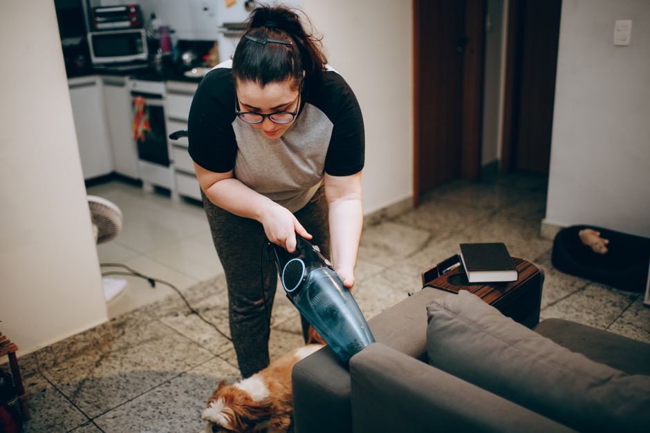 Why a Fragrant Home Is Not a Cleaner Home for Dogs