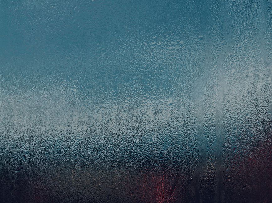 How to Harvest Rainwater at Home: A Step-by-Step Guide for Beginners