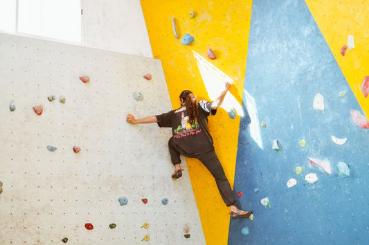 Cat Climbing and Vertical Space: When Individual Preference Is Worth Respecting