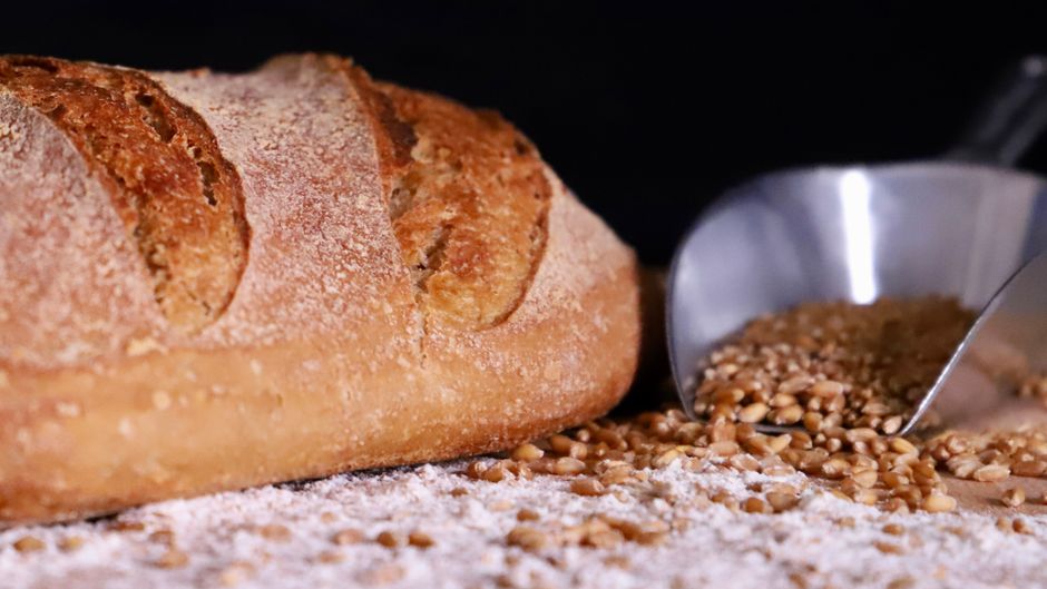 Why Your Bread Maker's Energy Use Changes With the Weather, the Flour, and the Loaf