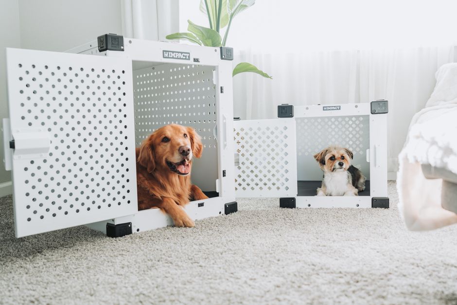 Summer Crate Training: Keeping Your Pet Cool and Comfortable Indoors