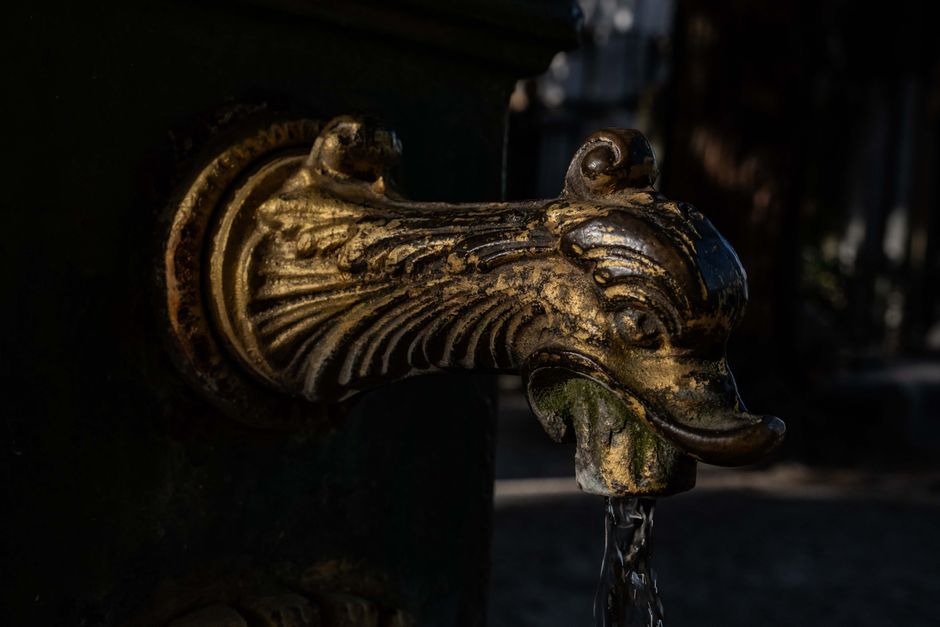 How Water Dispensers Work: From Reservoir to Spout, Explained