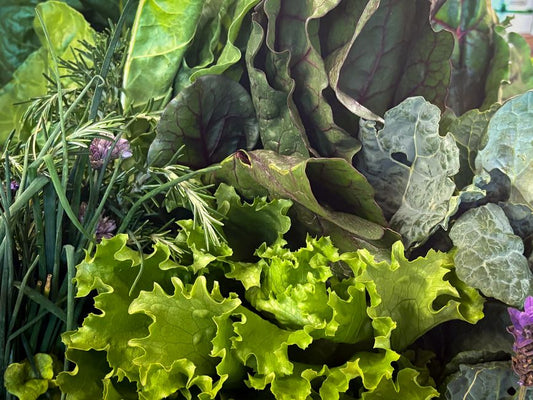 How to Extend the Shelf Life of Fresh Herbs and Leafy Greens: Expert Storage Tips for Crisp, Flavorful Produce