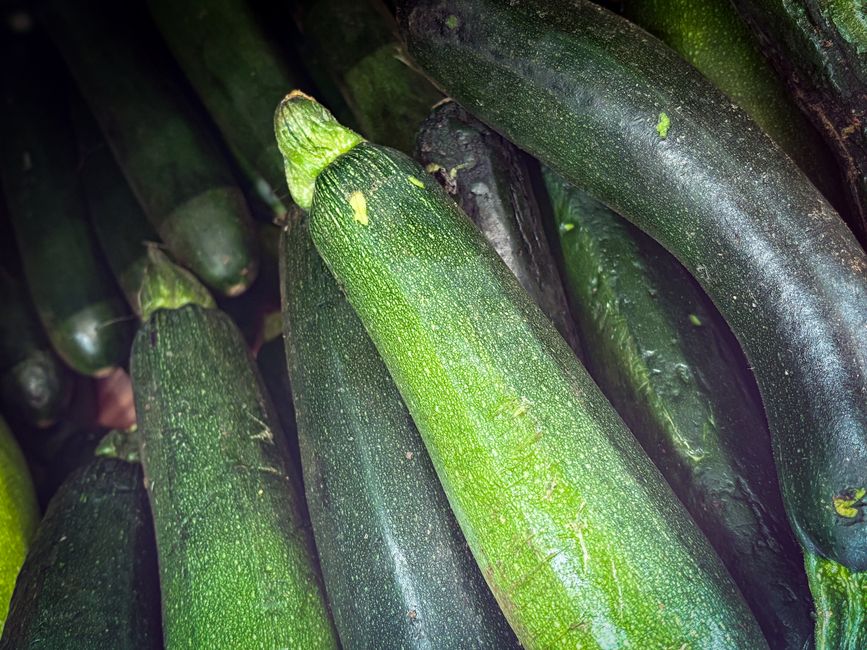 Why One Zucchini Turns to Mush and Another Stays Firm: Cooking Method, Cell Structure, and Vegetable Freshness