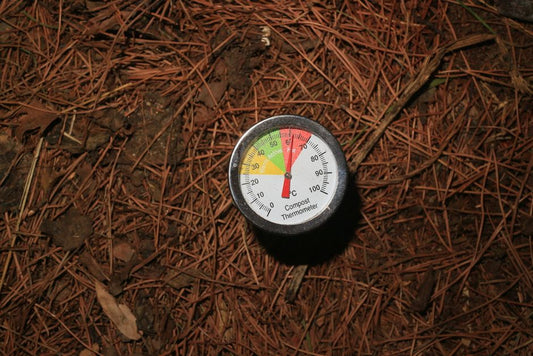 Does Home Composting Actually Work the Same Everywhere? Climate, Climate Control, and What Your Pile Really Needs
