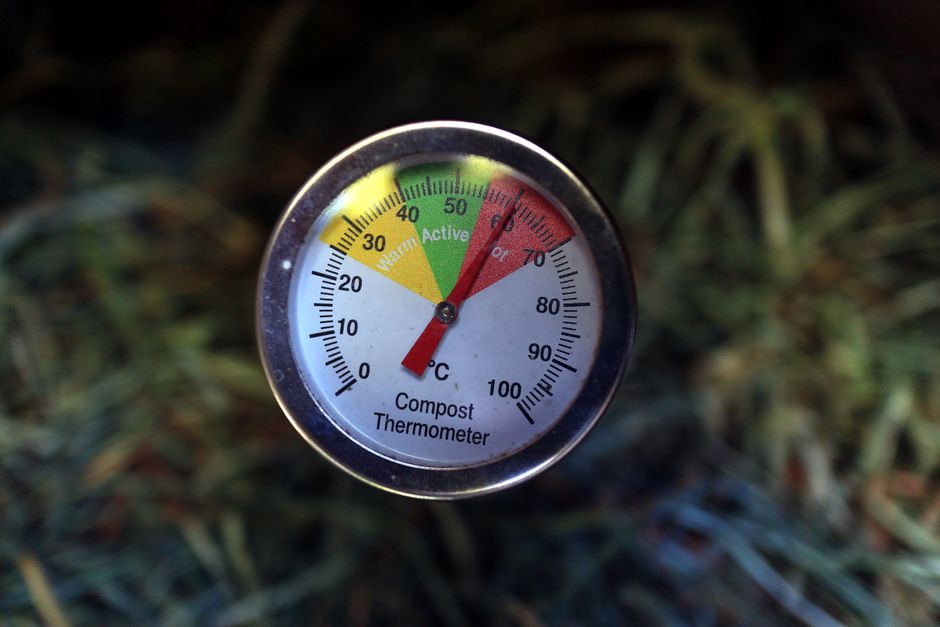 Is Home Composting Worth the Effort? A Guide for Skeptics