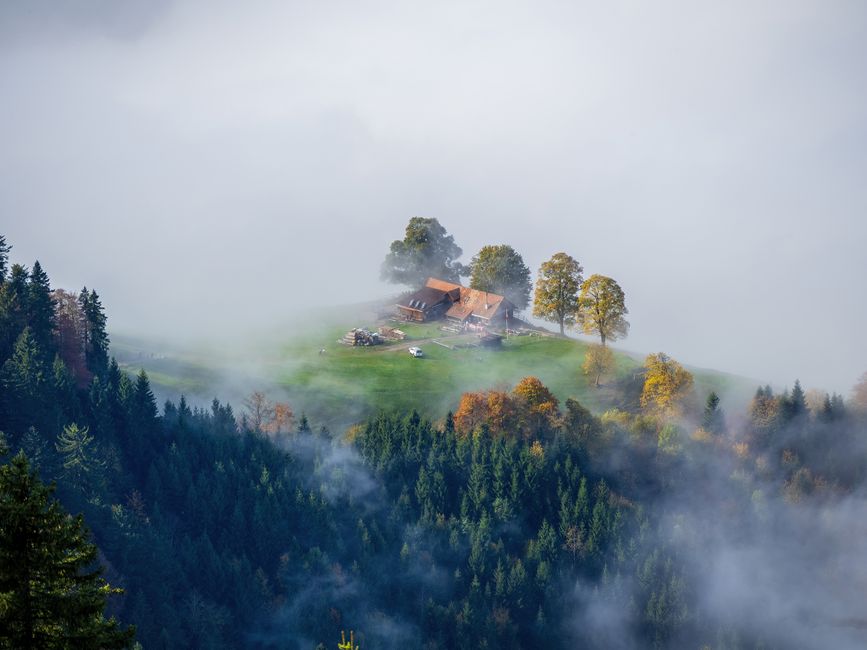 The Missing Link in Whole House Humidifier Care: Boosting Performance with Strategic Upgrades
