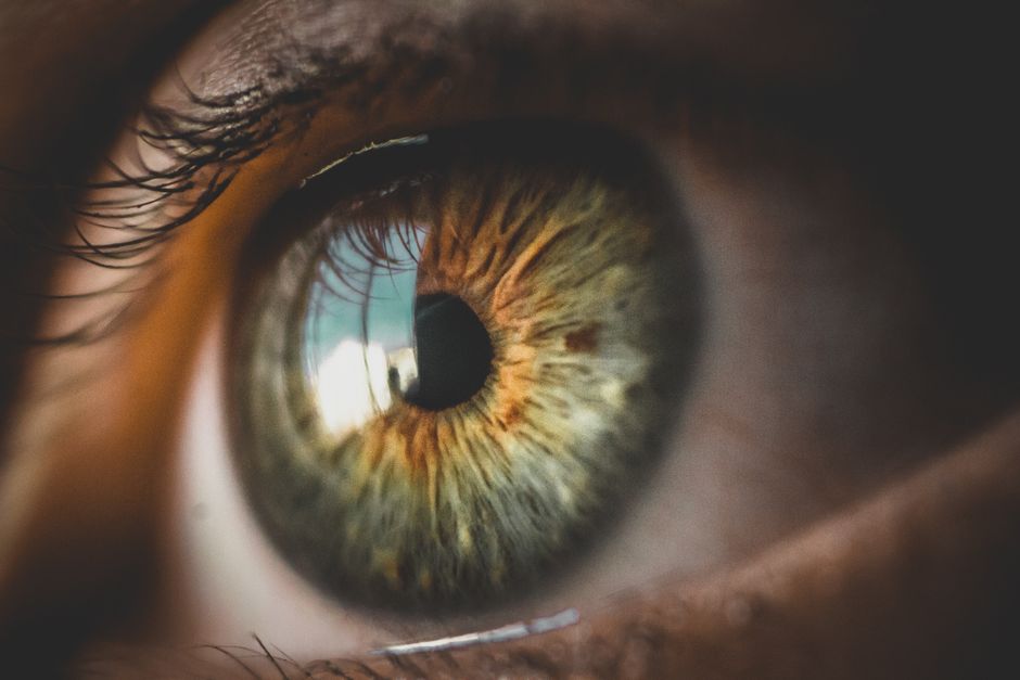 Why Screens Strain Your Eyes: The Blink Factor and Visual Workload